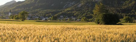 Občina Žirovnica 1